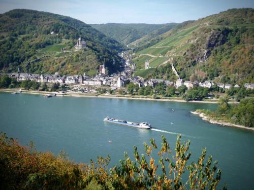 Impressionen Natur Landschaft Rheinsteig